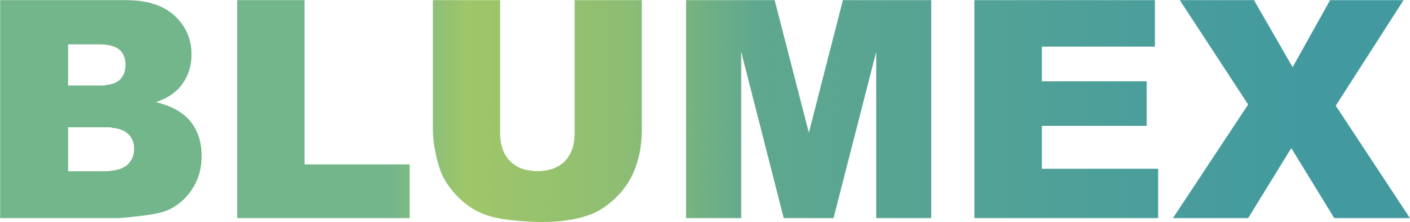 Blumex Express Credit, Incorporated logo