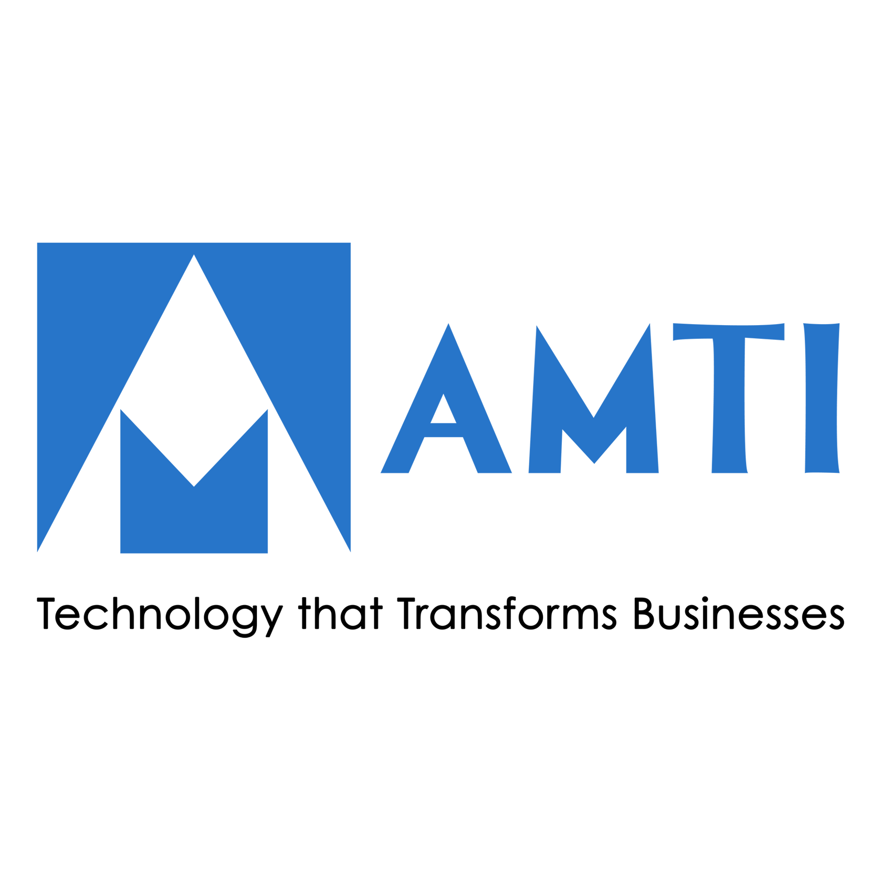 AMTI COMPUTERS SUBIC, INC logo